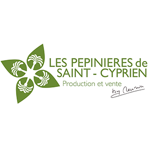 logo st cyprien